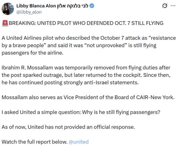 Libby Alon’s original United pilot report, cropped to the author and post text
