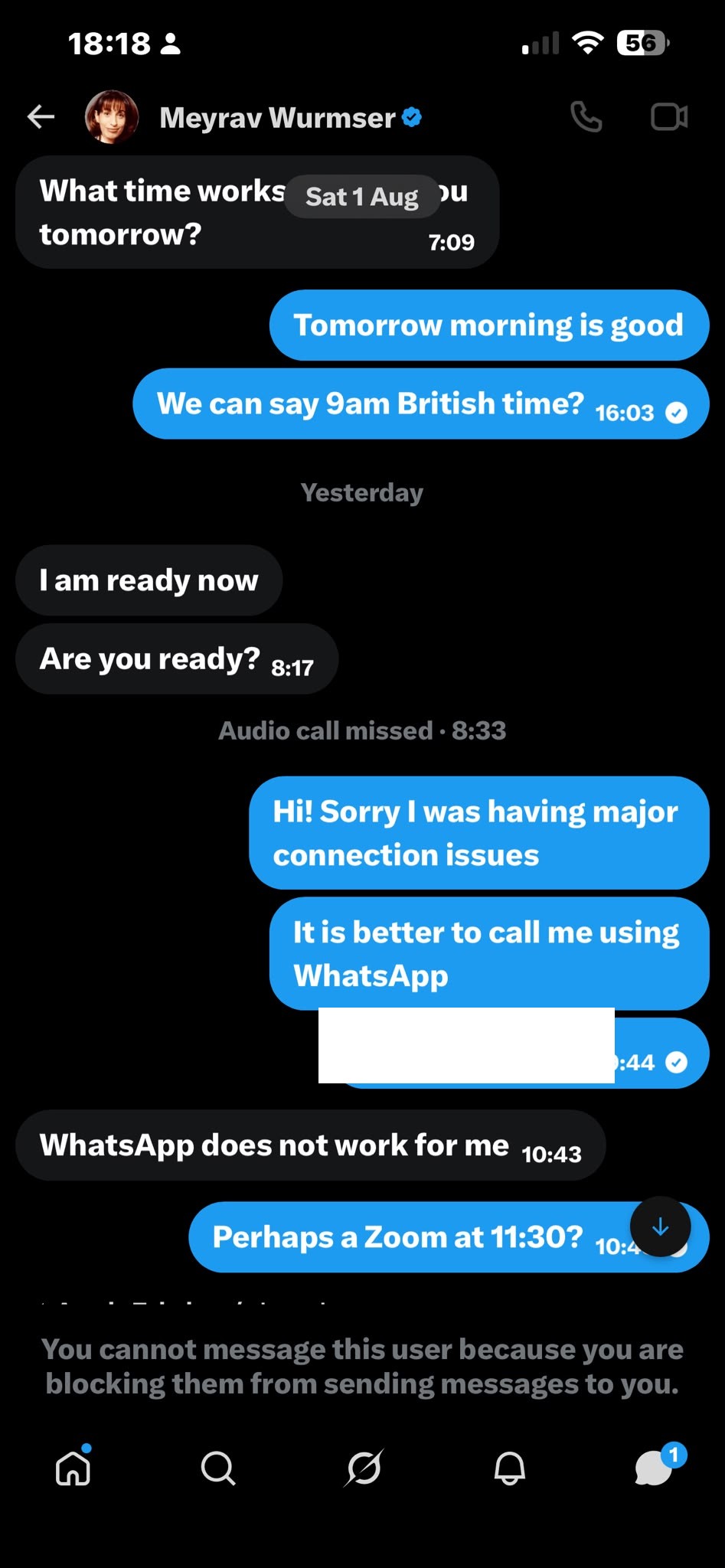 Direct messages from the Meyrav Wurmser persona: agreeing to '9am British time,' saying 'I am ready now, are you ready?', a missed audio call, the target offering WhatsApp, the persona replying 'WhatsApp does not work for me,' and the target suggesting 'Perhaps a Zoom at 11:30?'